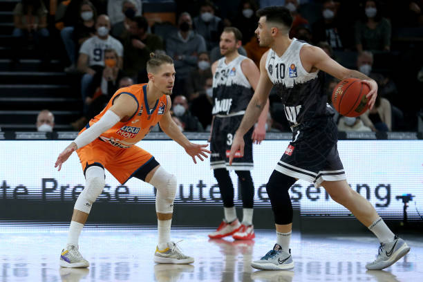 这与森林目 这与森林目